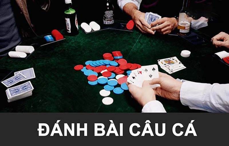 bai cau ca 2 Không nên để cảm tính cá nhân quyết định hành động